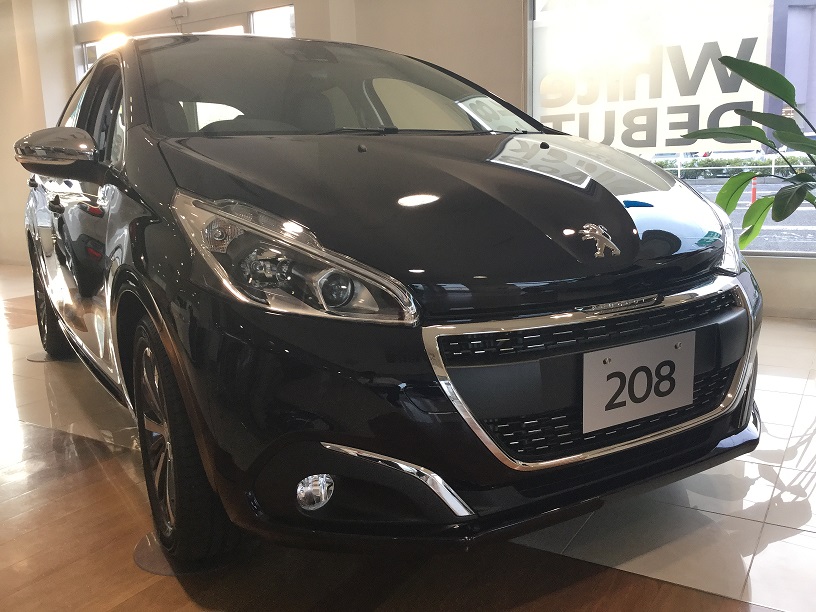 ライオン２０８