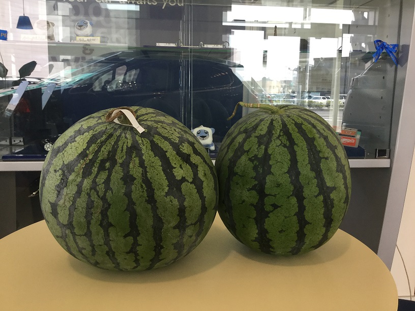K様からの「夏」いただきました（＾＾）