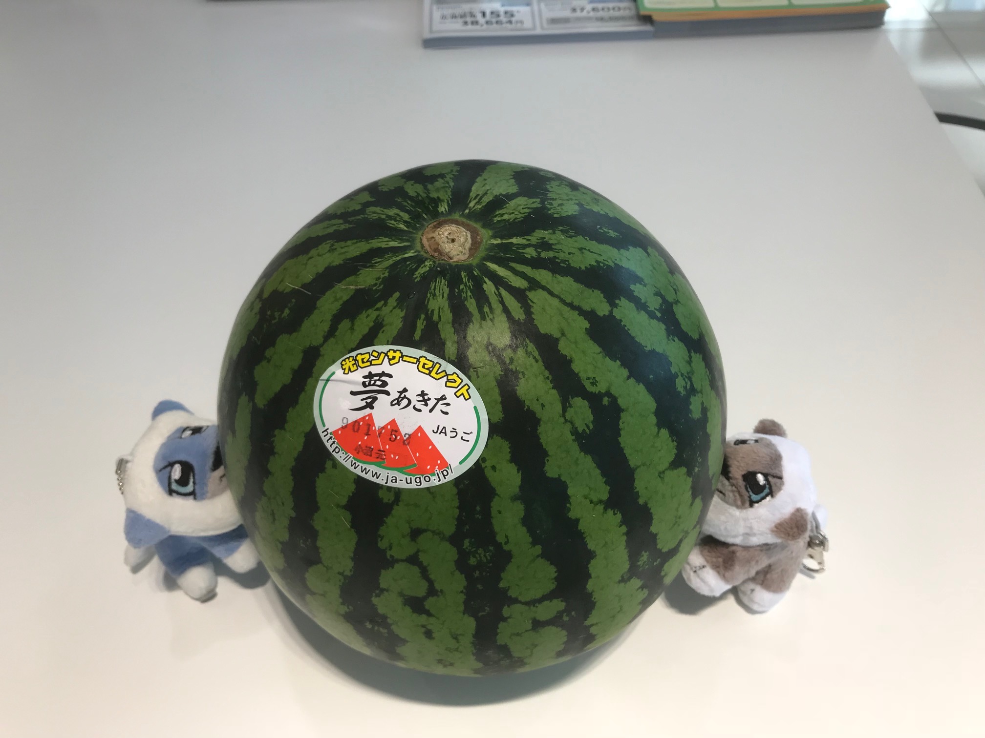 お客様より頂きました（＾＾）