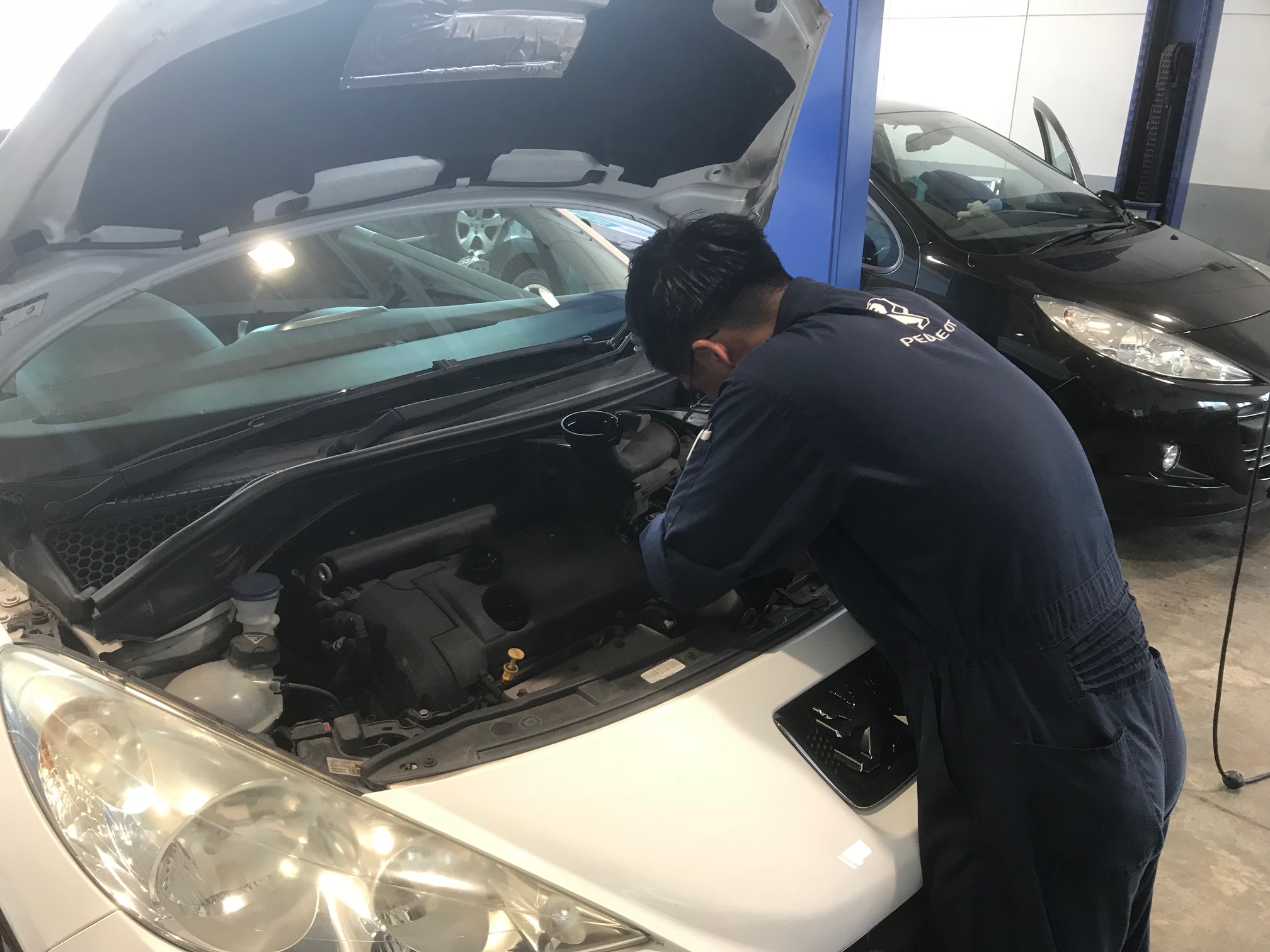 今週末はSUVフェア！