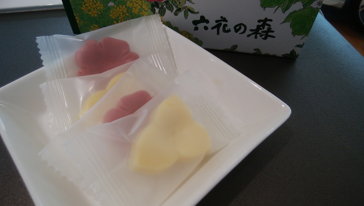 お久しぶりです