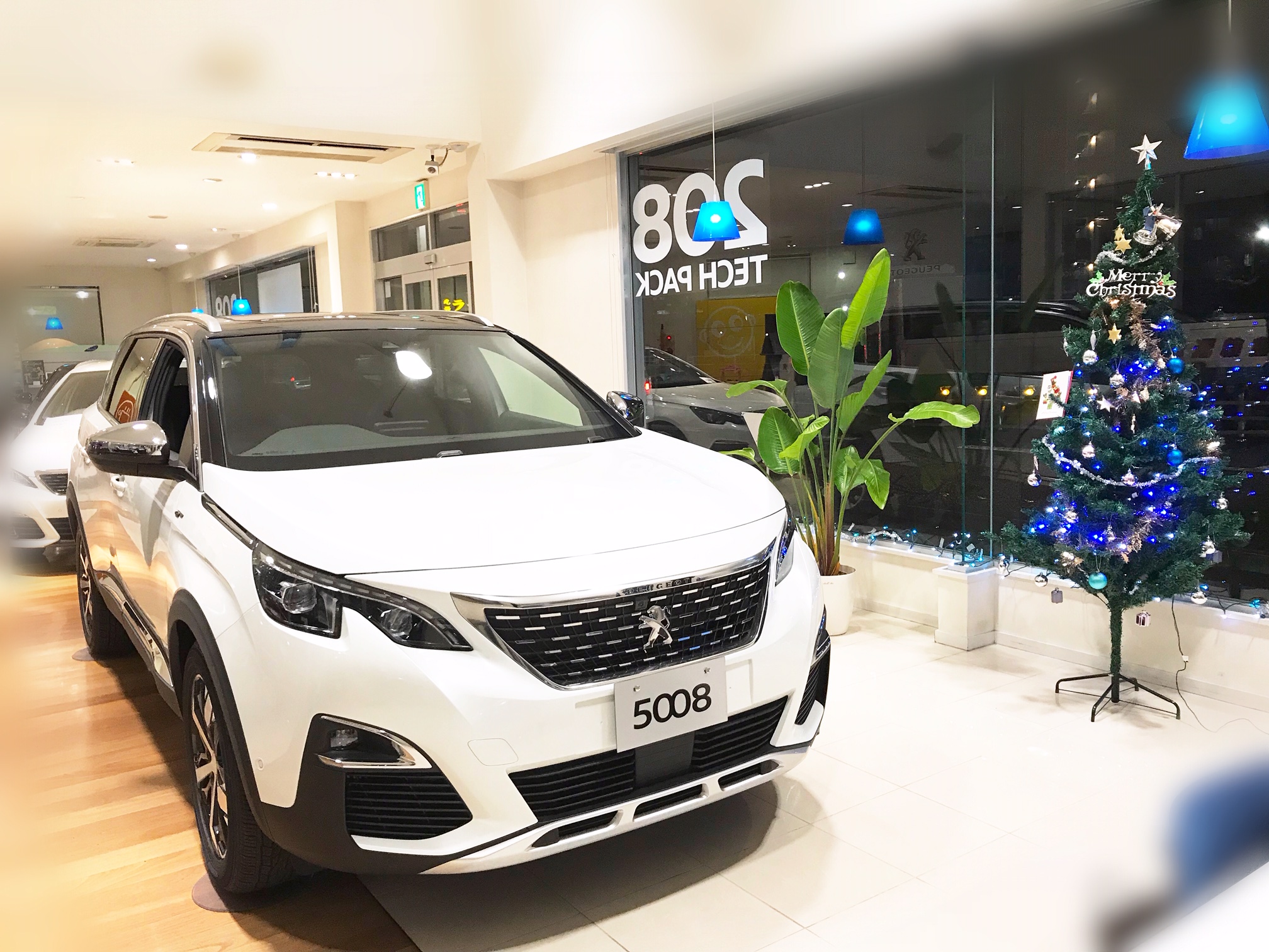 もうすぐクリスマス♬