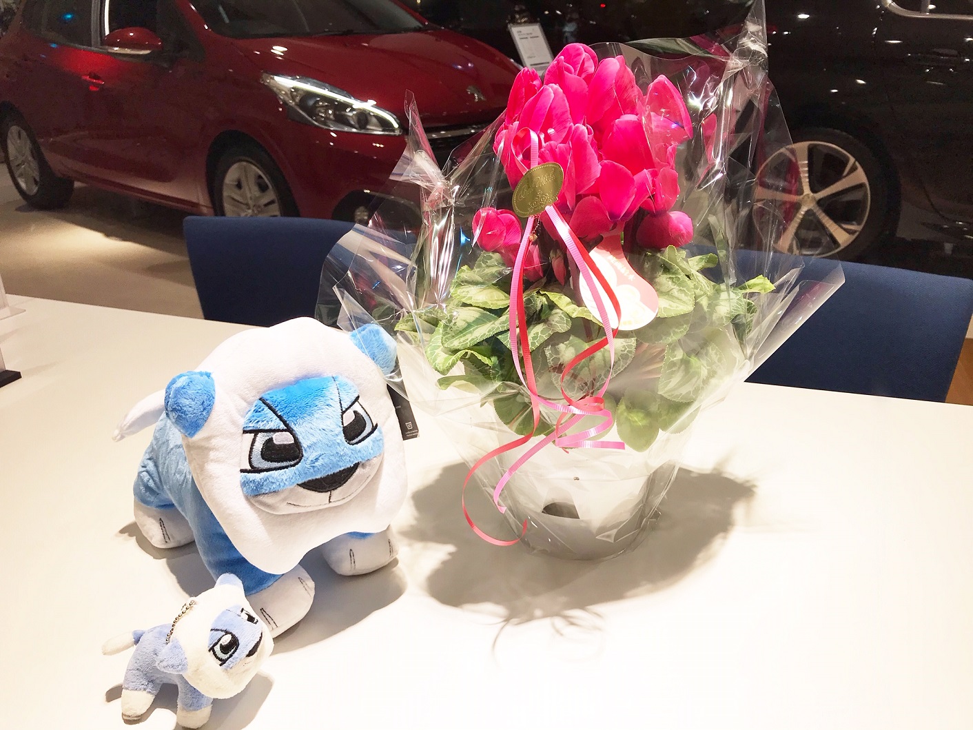 ありがとうございます♪♪