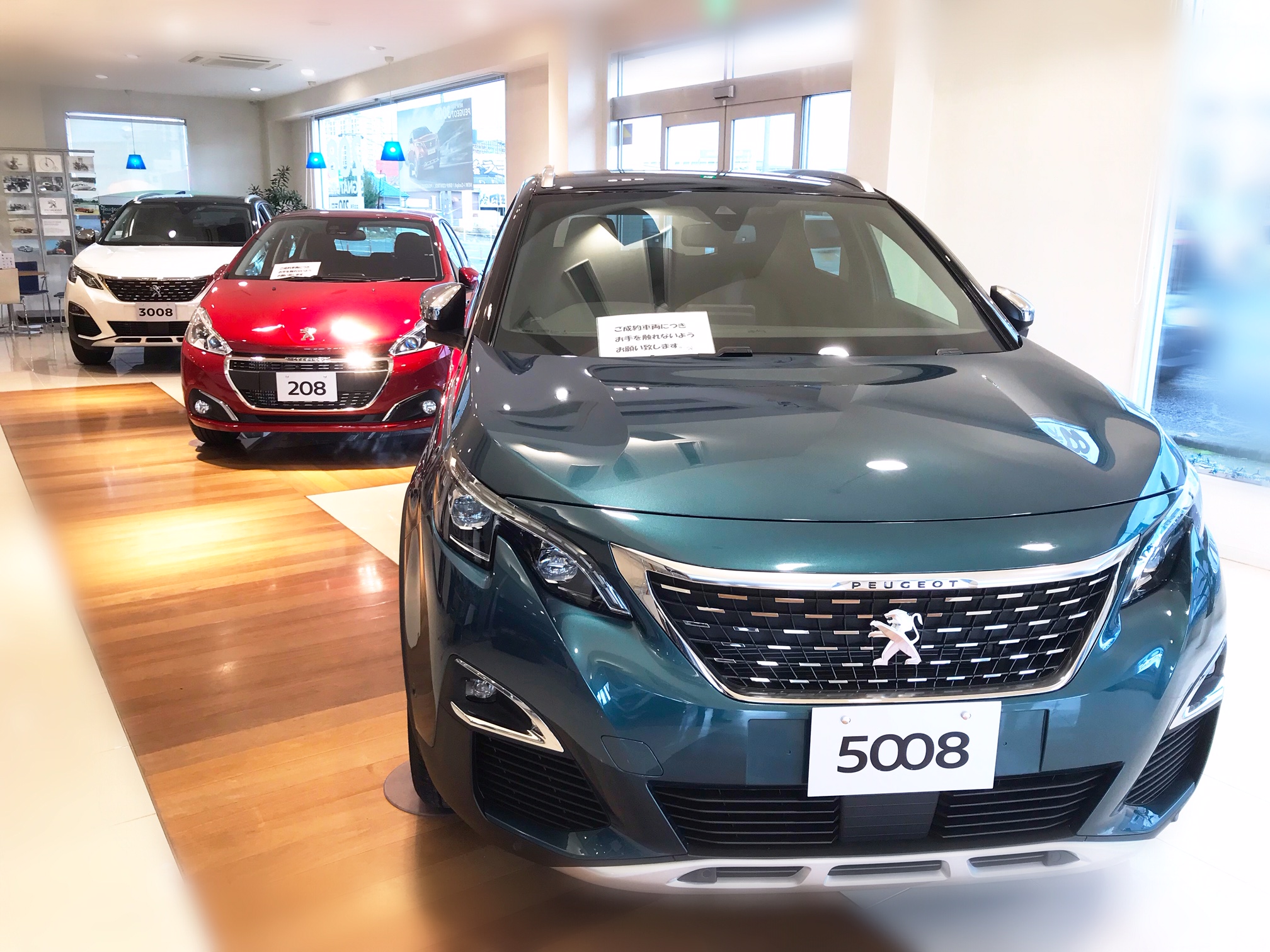 続・クリスマスカラー♪♪