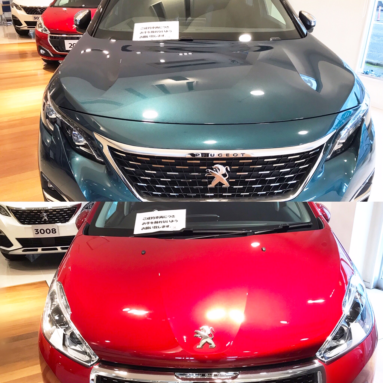 続・クリスマスカラー♪♪