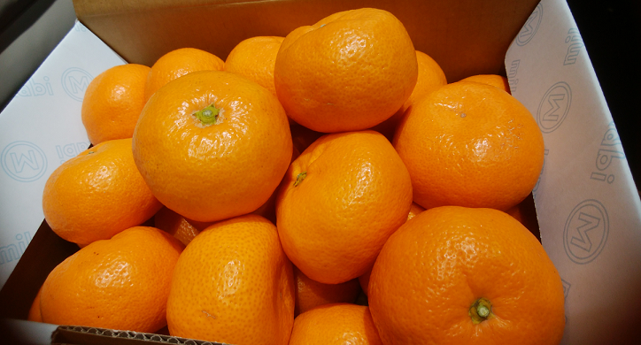 早速の400ｋｍ!!!