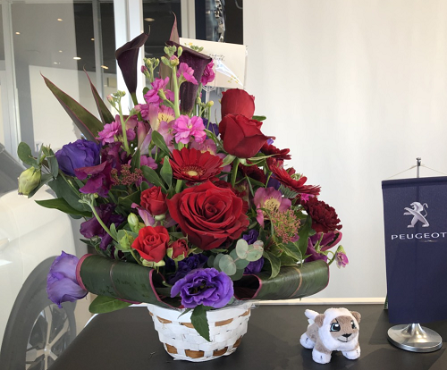 お花ありがとうございます！