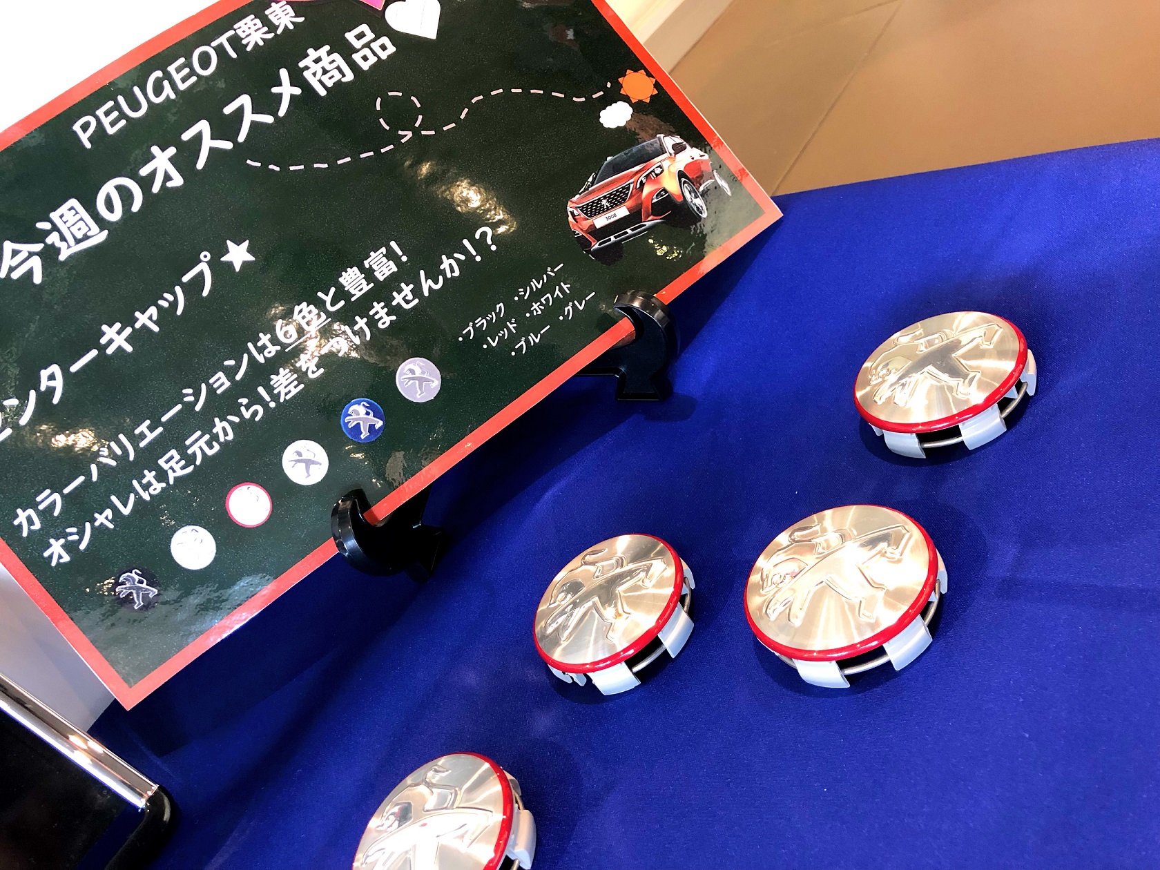 新コーナー✨