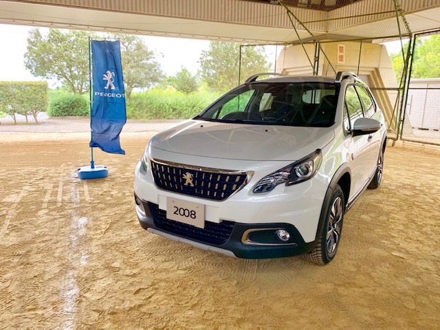 竜王ドラゴンハット展示会1日目！！