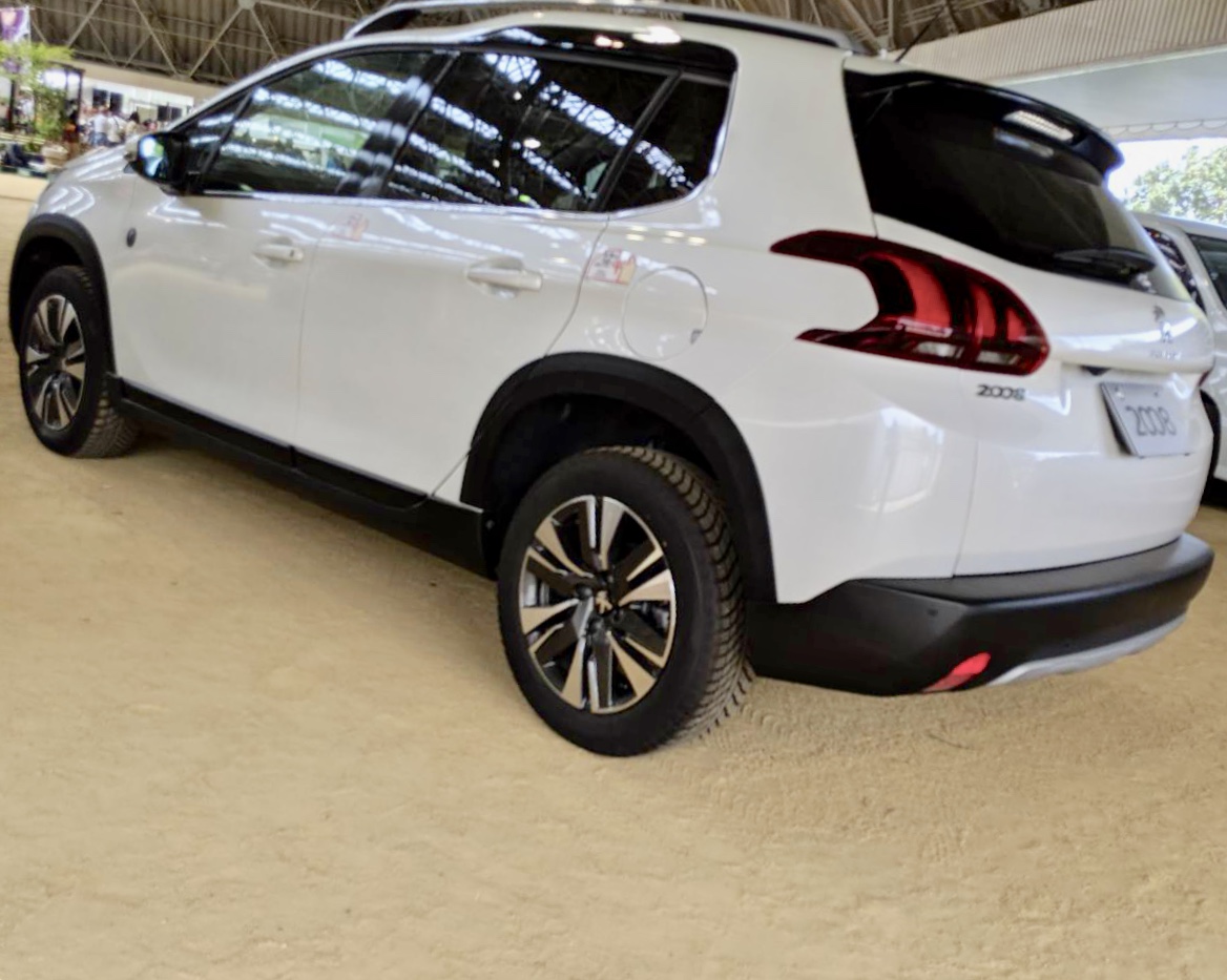 竜王　ドラゴンハット展示会最終日！！