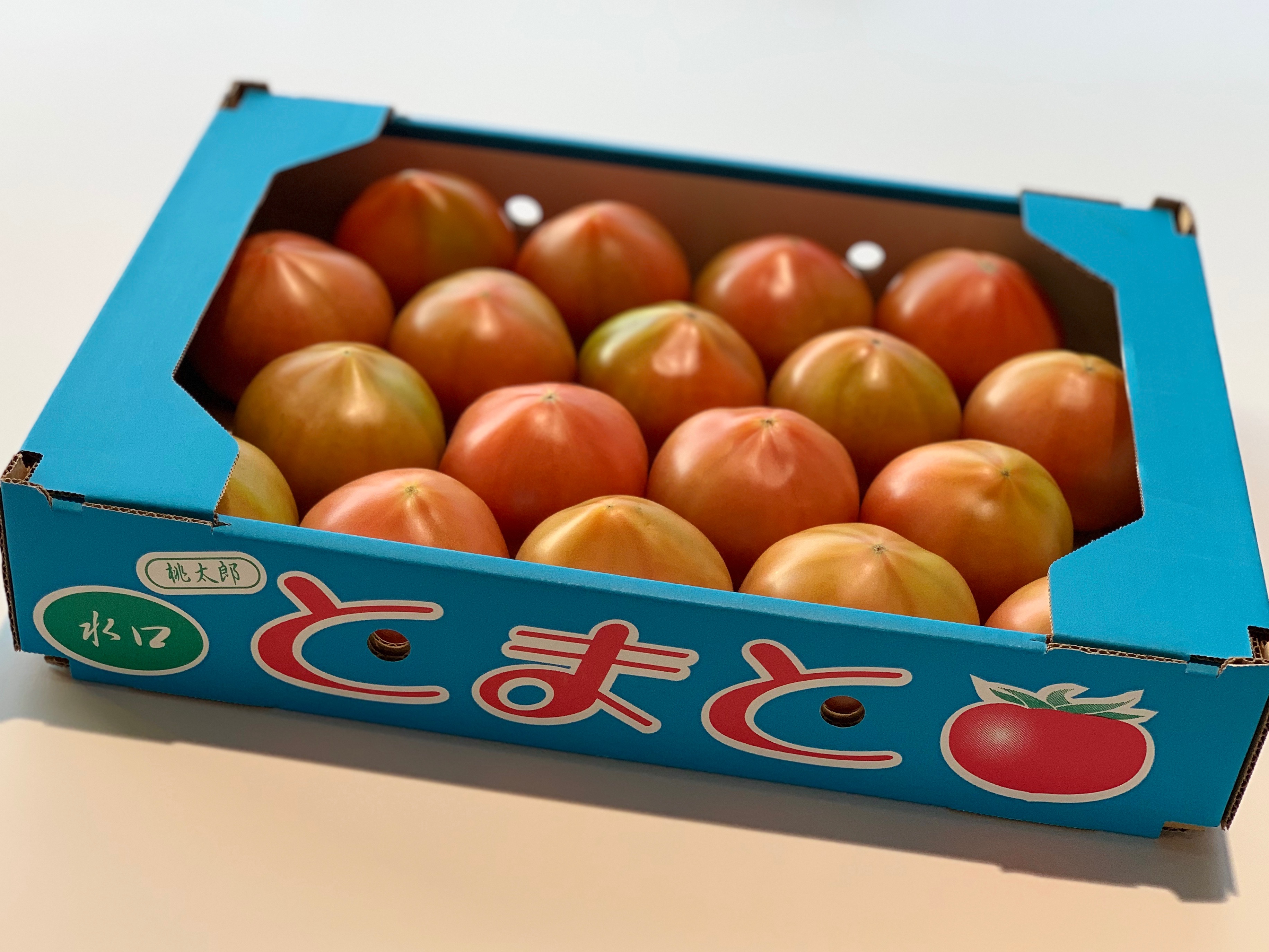 お客さまからプレゼント♬