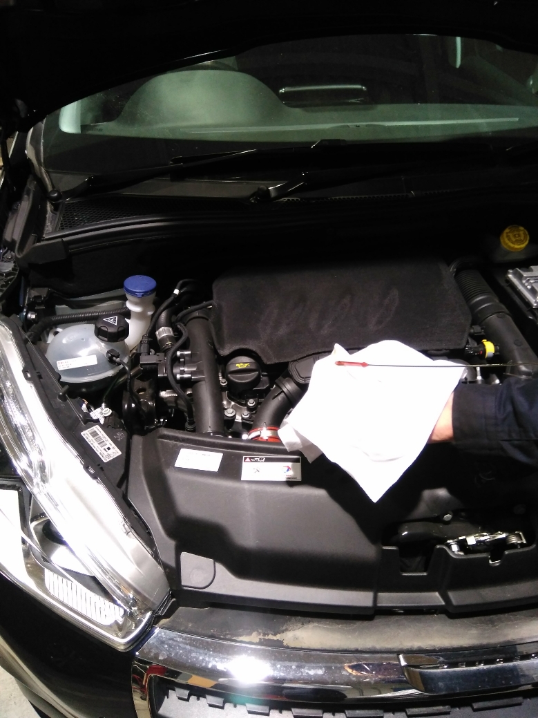 シーズンチェック