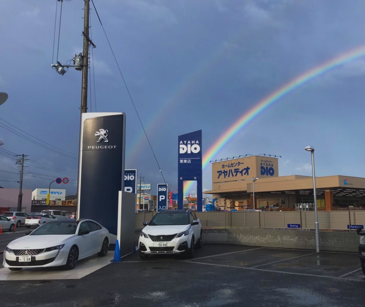🌈Good Timing🌈