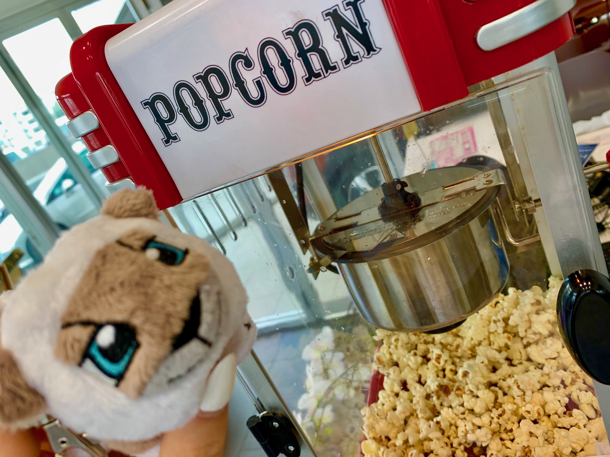 Popcornはじめました🌽