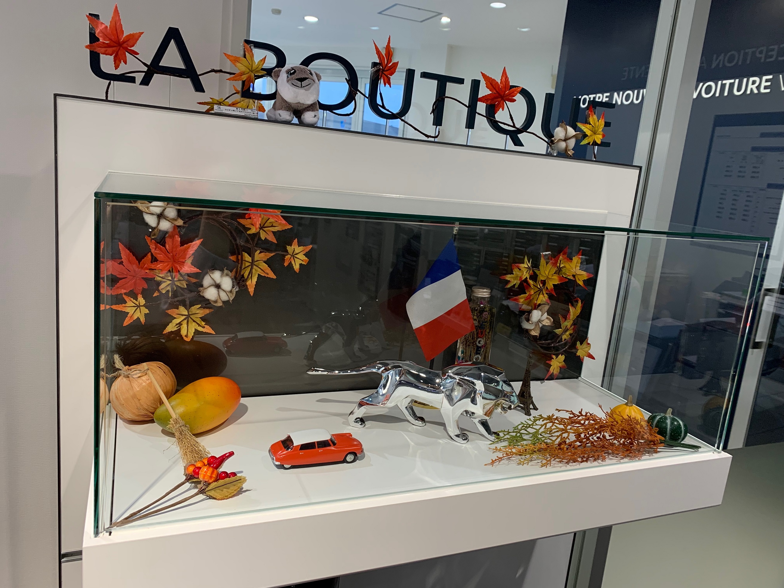 ライオンくんの秋🍁