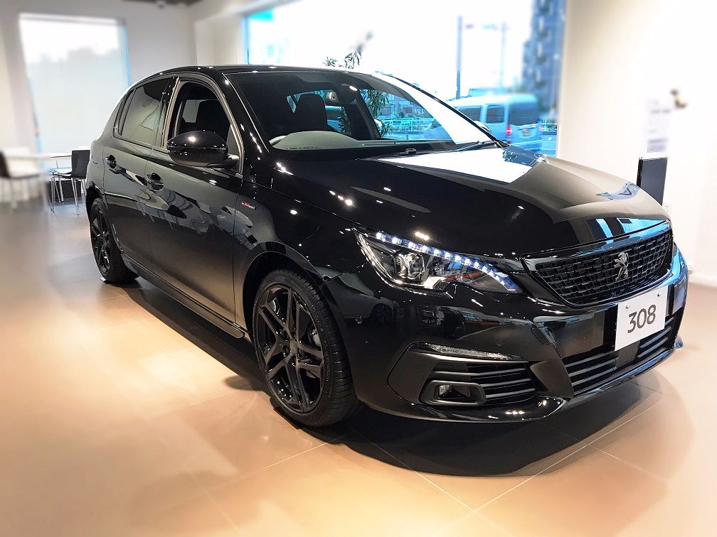 黒いライオン登場！！