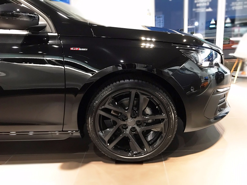 黒いライオン登場！！