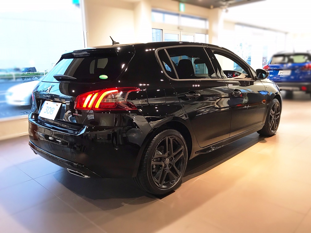 黒いライオン登場！！