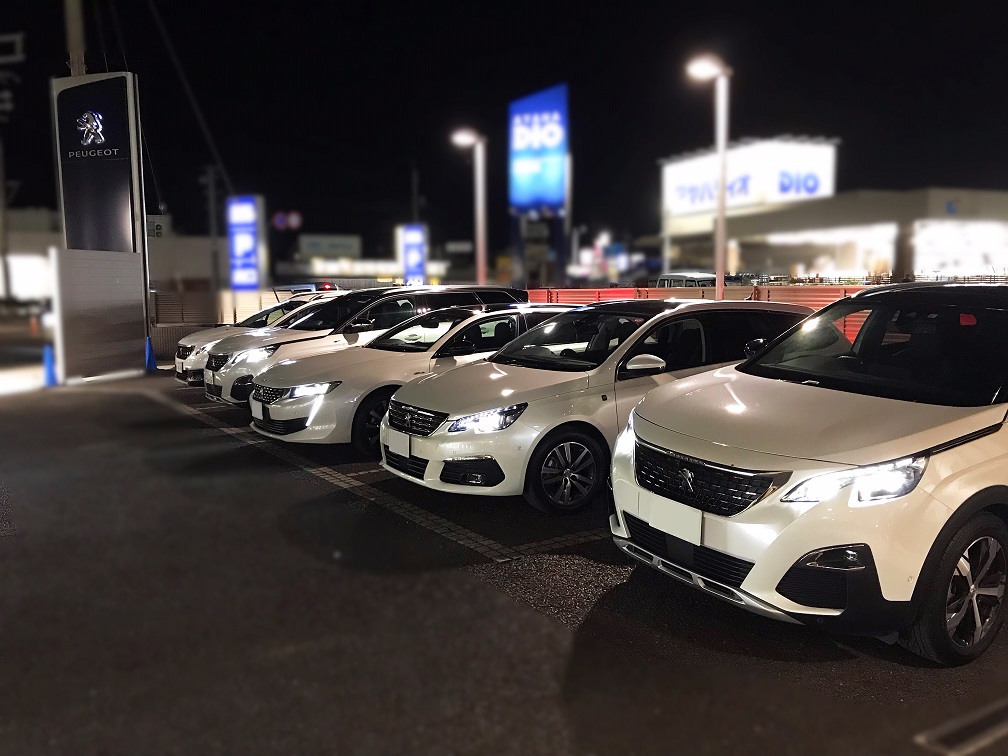 ライオン達の休息