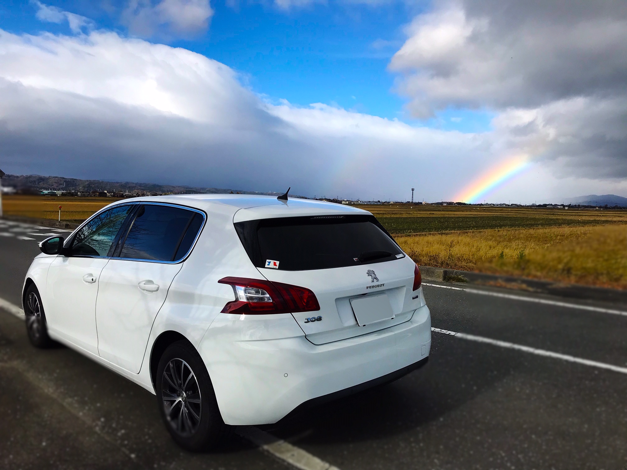 お客様からのお便り♪