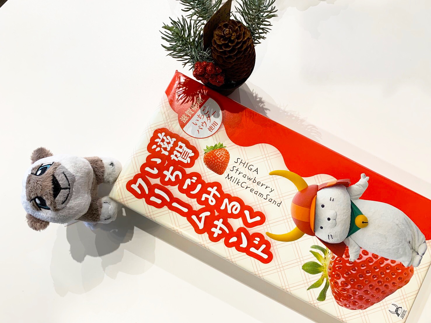 お客様からのプレゼント♪