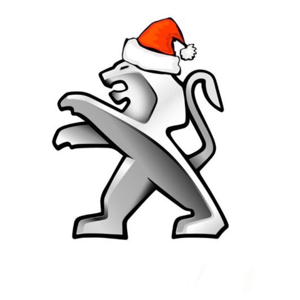 Merry Christmas🎄✦