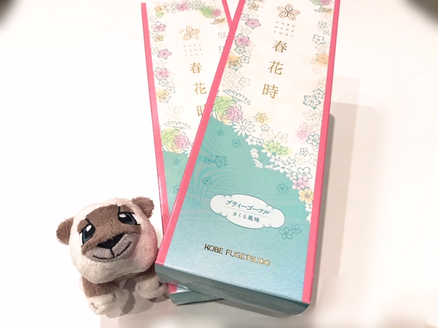 お客様からのプレゼント♪