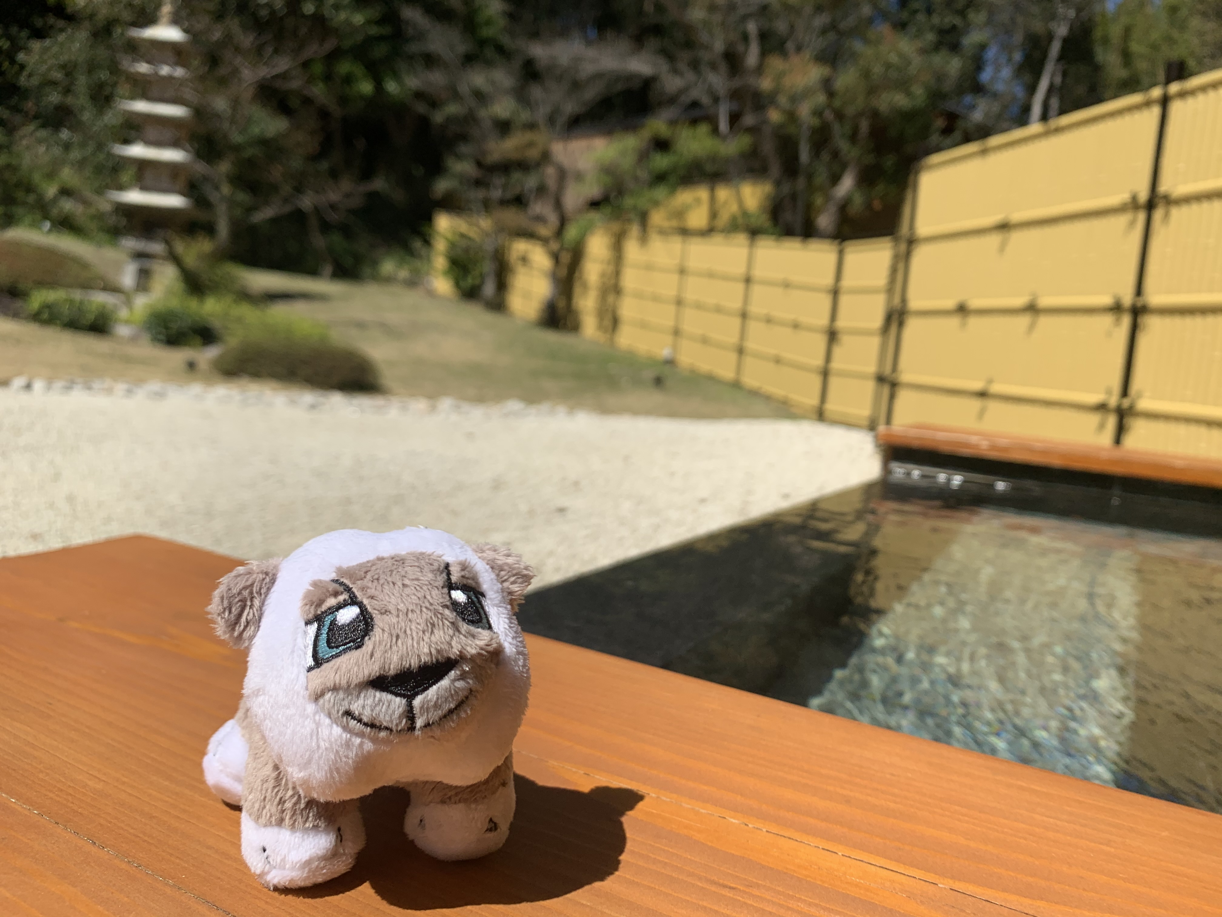 お客様からのお便り♪