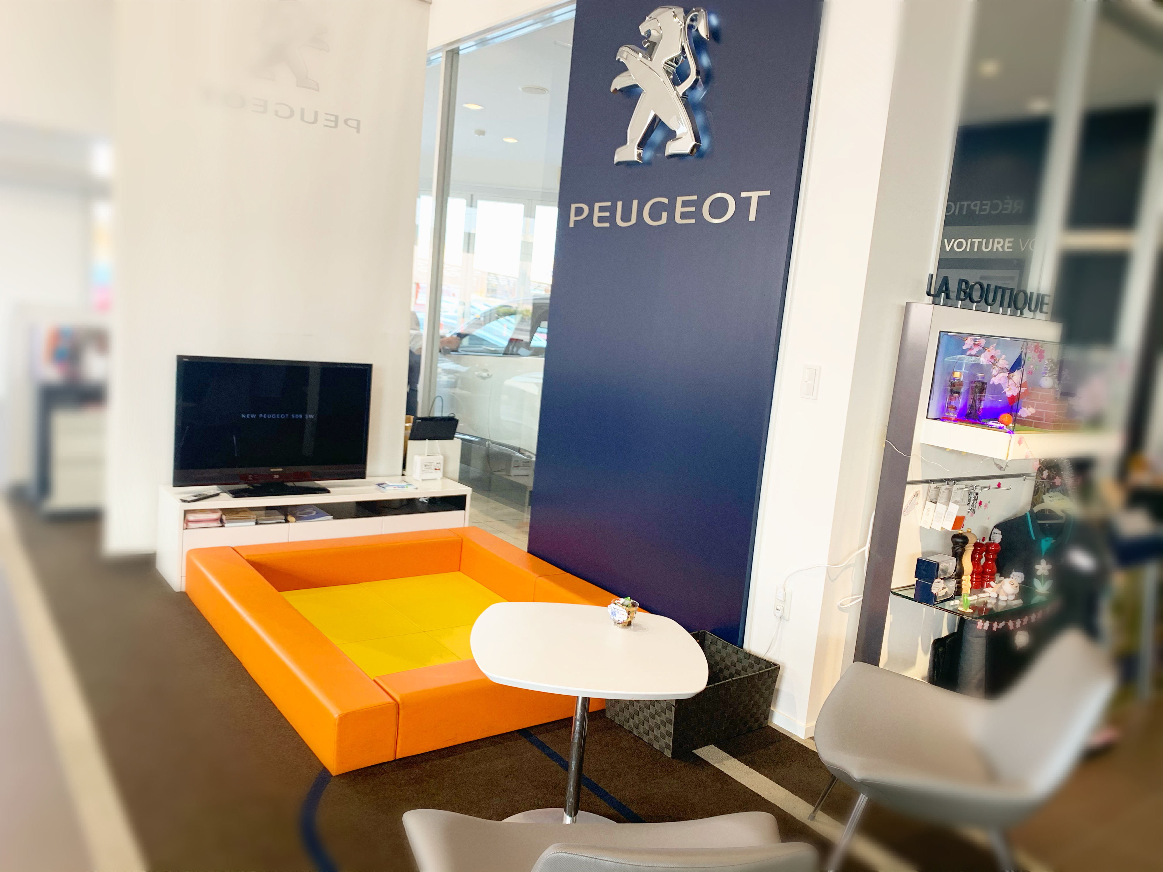 本日のショールーム