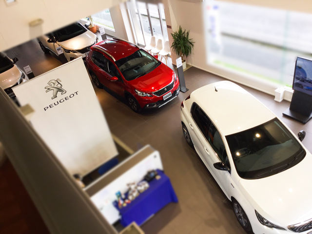 プジョー栗東ショールーム♫