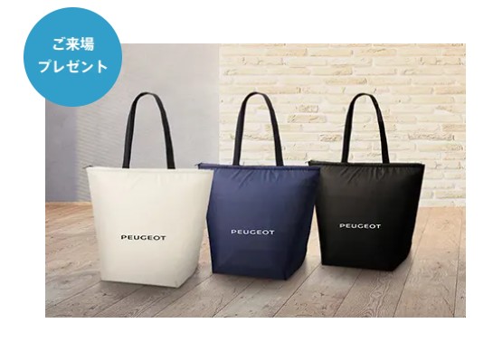 	 PEUGEOT SUMMER DRIVE FAIR