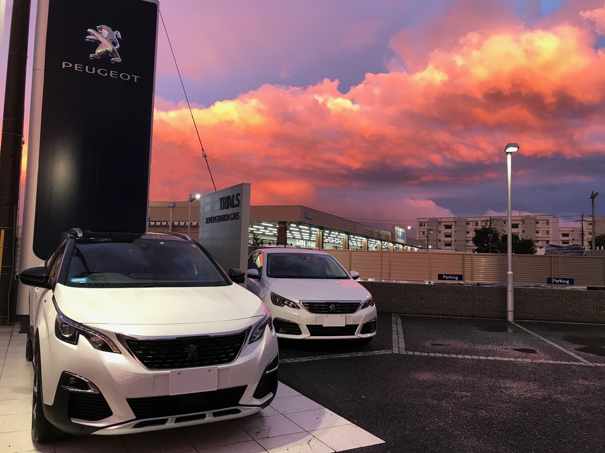 小さな楽しみ✦