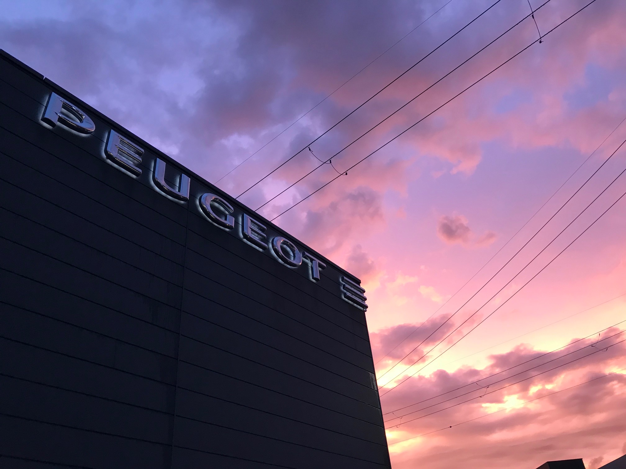 ＊夏季休暇のお知らせ＊