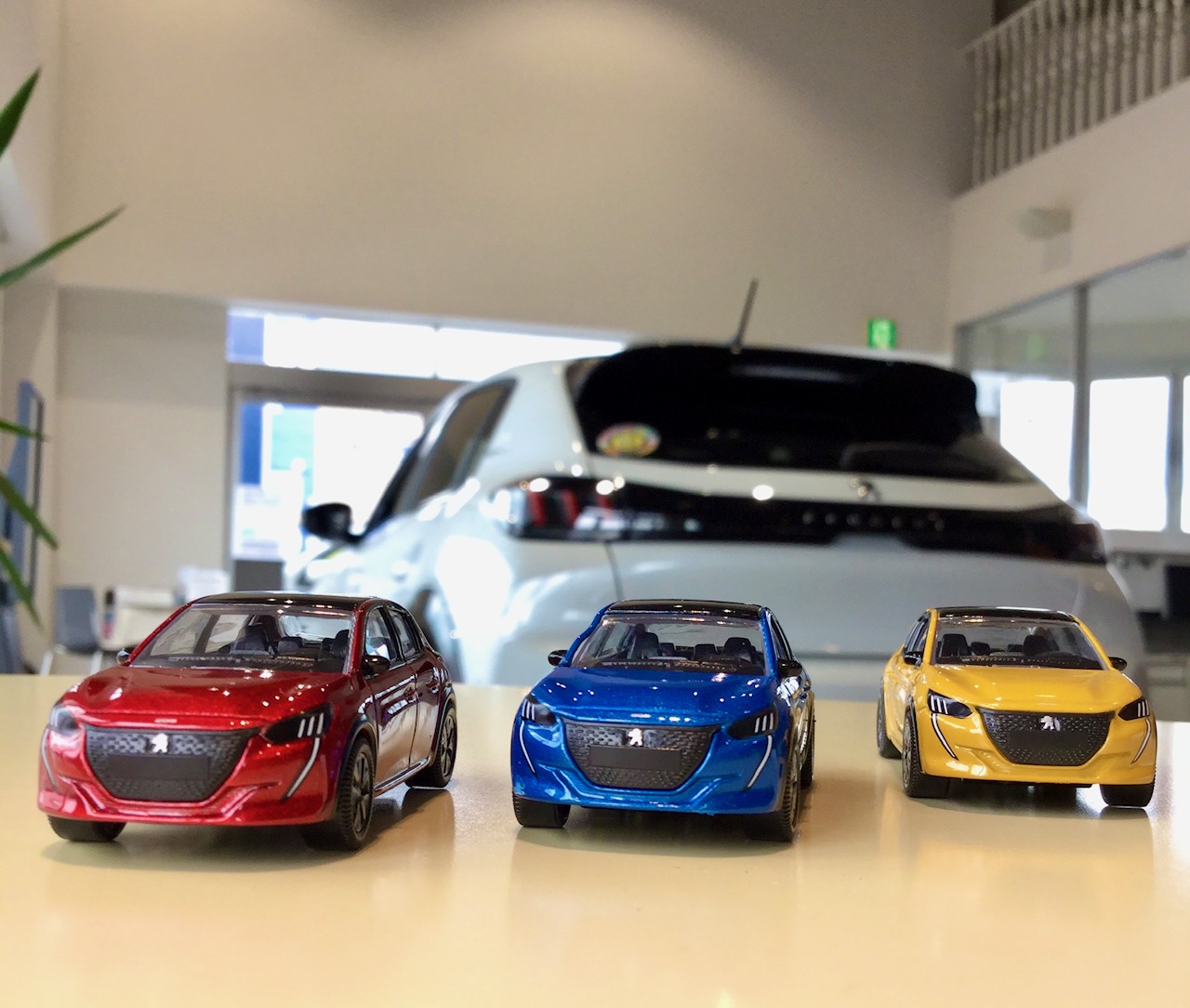 大好評展示中🌈