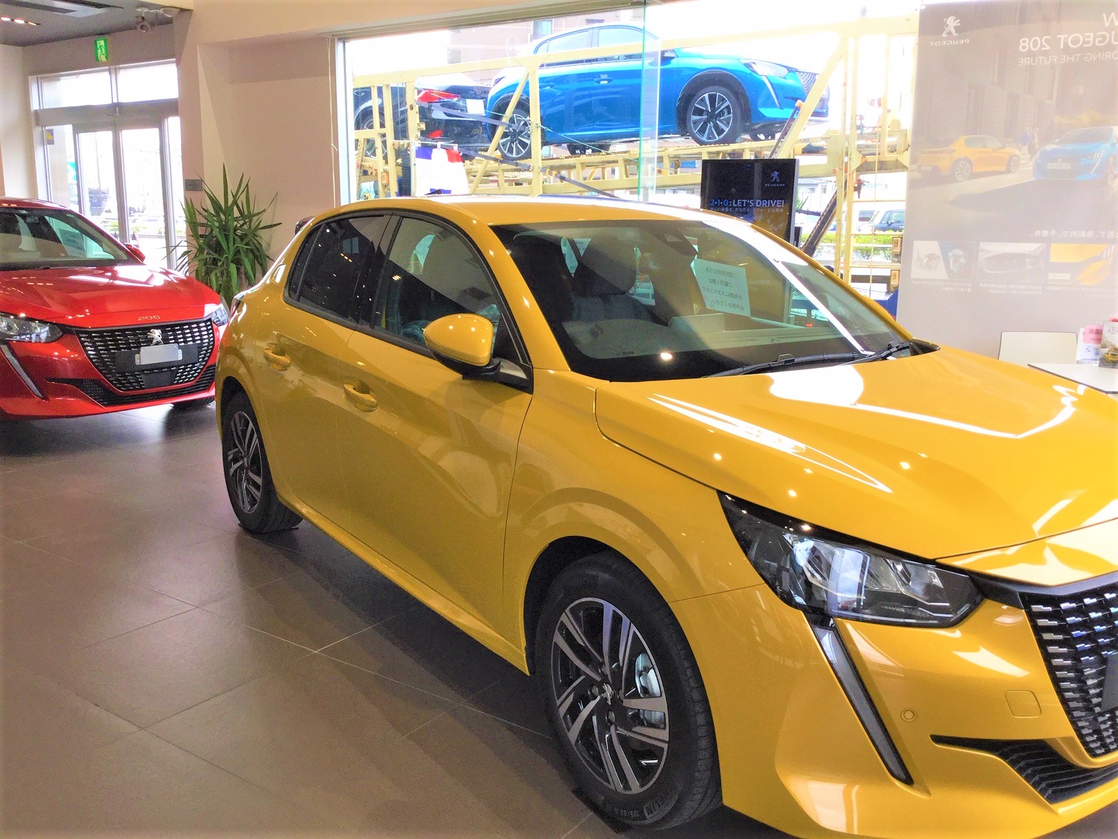 鮮やかな3色(^^)/