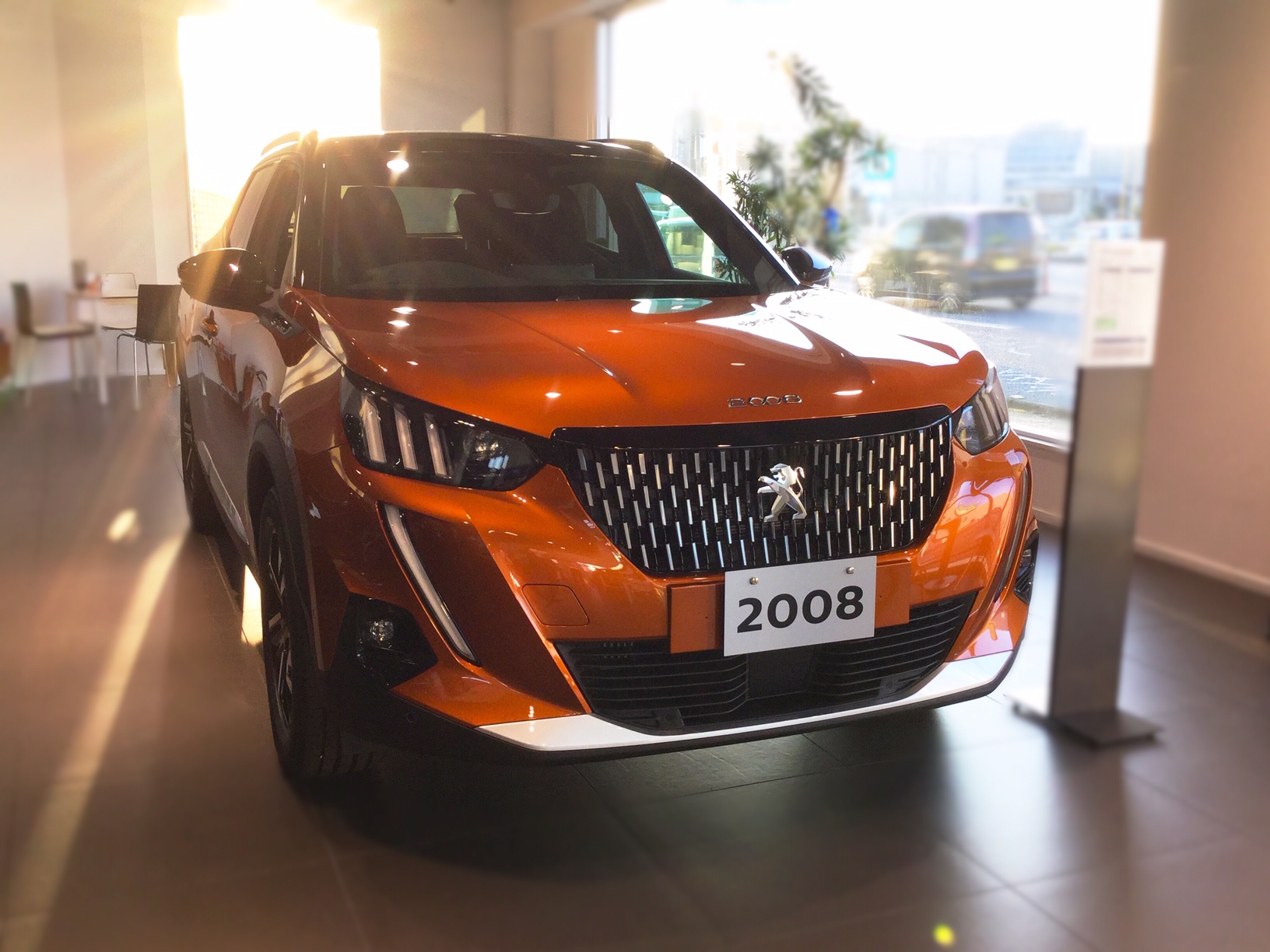 NEW2008新作ボディカラー✨