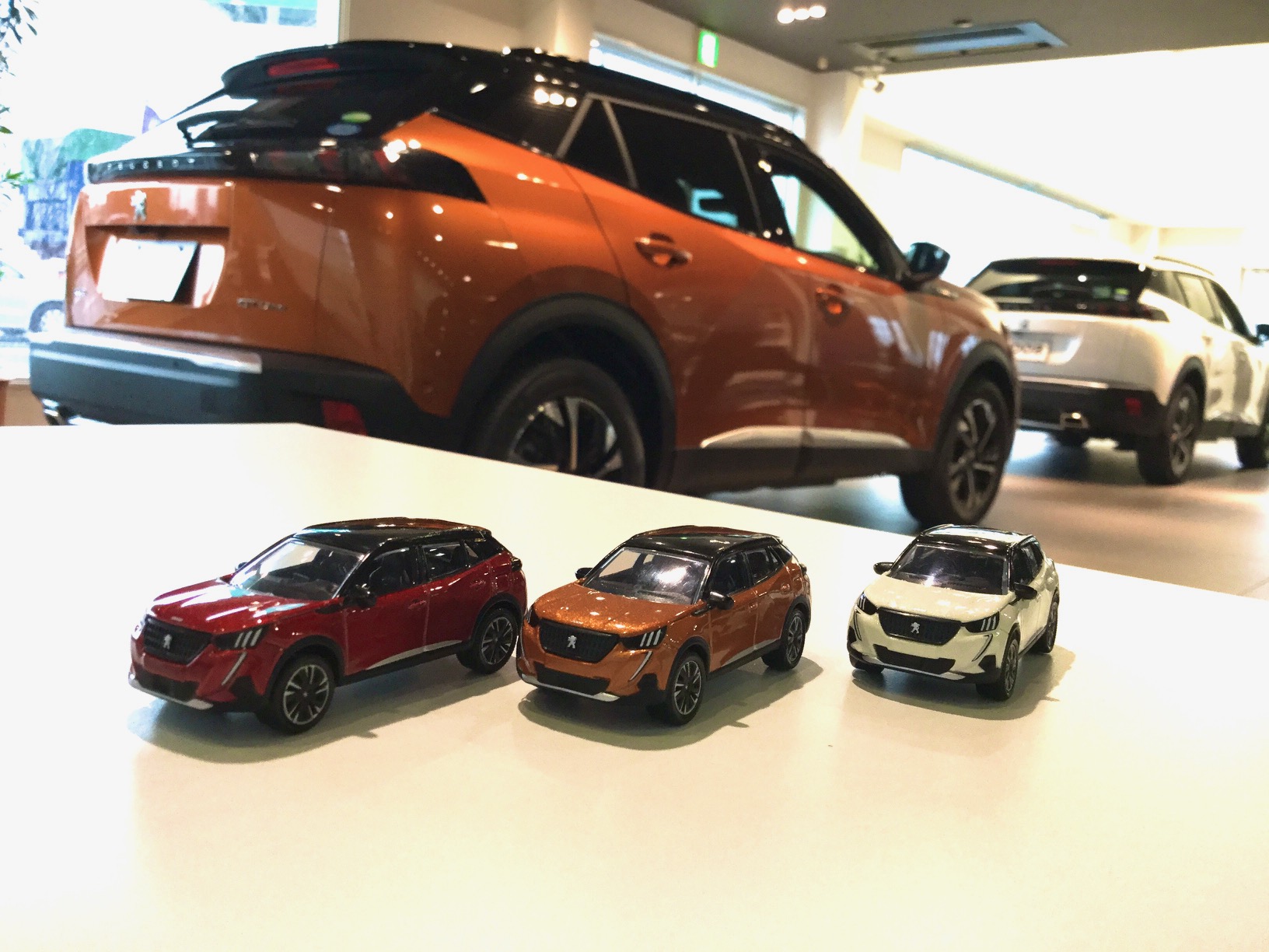 本日からフェア☆ミ