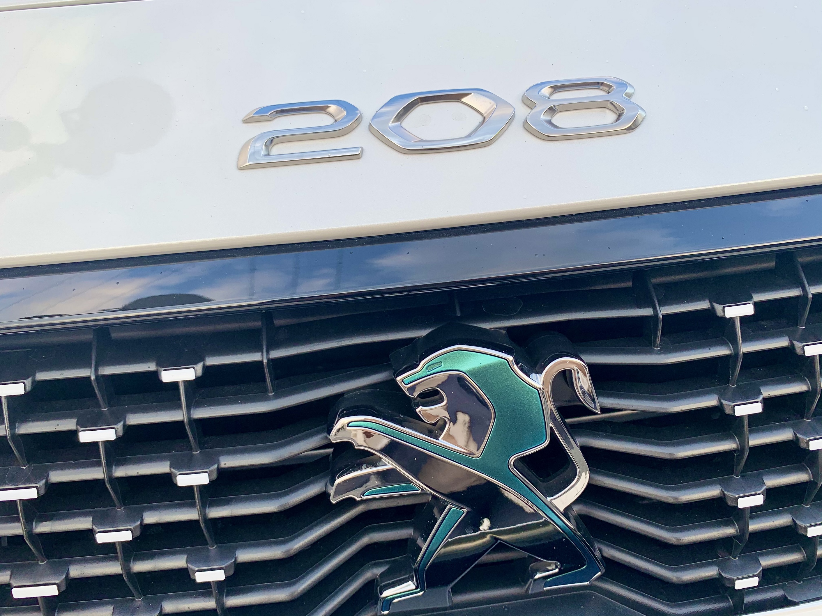 お待たせしました！！