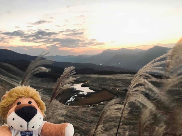 ライオン君と秋の旅✨
