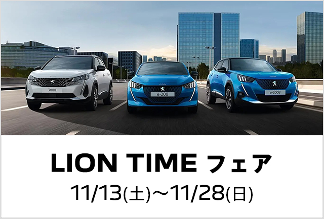 LION TIME FAIR本日までです♪
