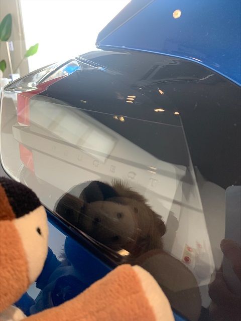 隠れロゴを探せ♪