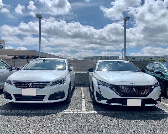 新・旧308比較してみました✨