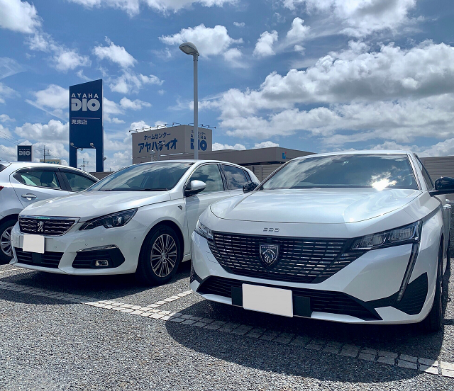 新・旧308比較してみました✨