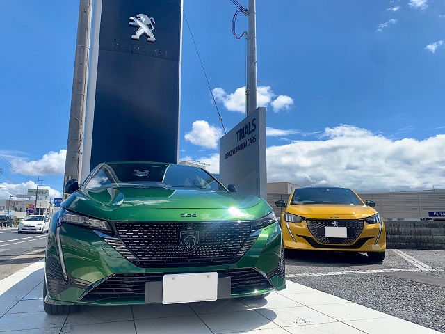 週末308デビューフェア開催のご案内✨