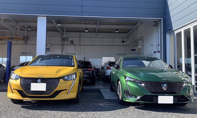 朝いちのパシャリ📷