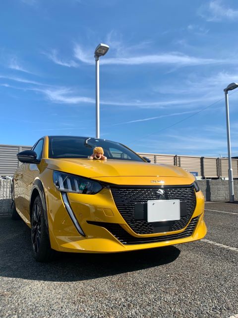 今、大注目の208！
