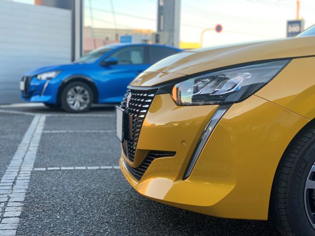 今、大注目の208！