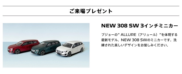 NEW YEAR ALLURE フェア✨