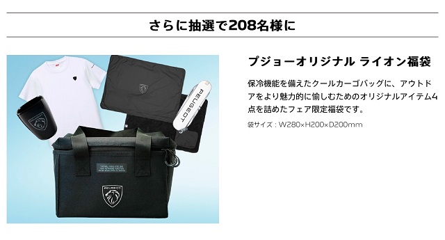 NEW YEAR ALLURE フェア✨