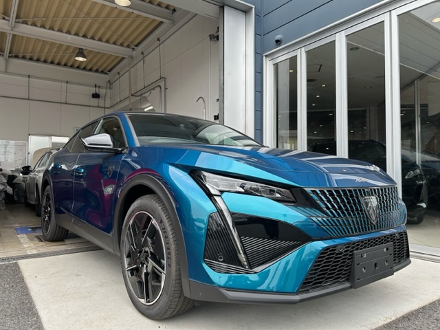 PEUGEOT408　アクセサリー✨